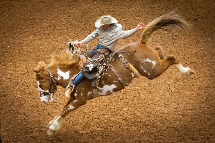 2019 Rodeo Austin, photo by Mark Matson  3/29/19